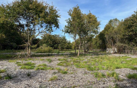 Land for sale in Sayers Common photo